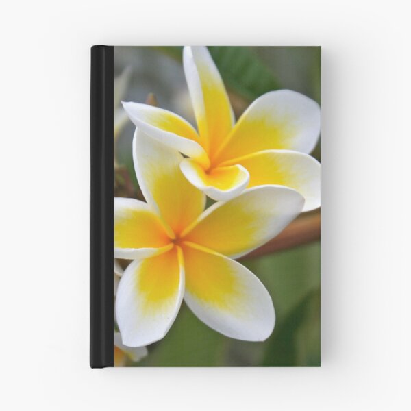 Artikelvorschau, Frangipani entworfen und verkauft von Kain Swift.