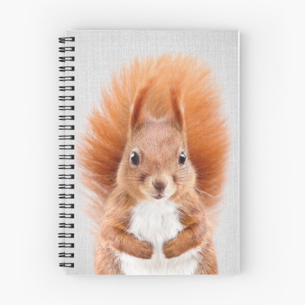 Item preview, Squirrel 2 - Colorful designed and sold by galdesign.