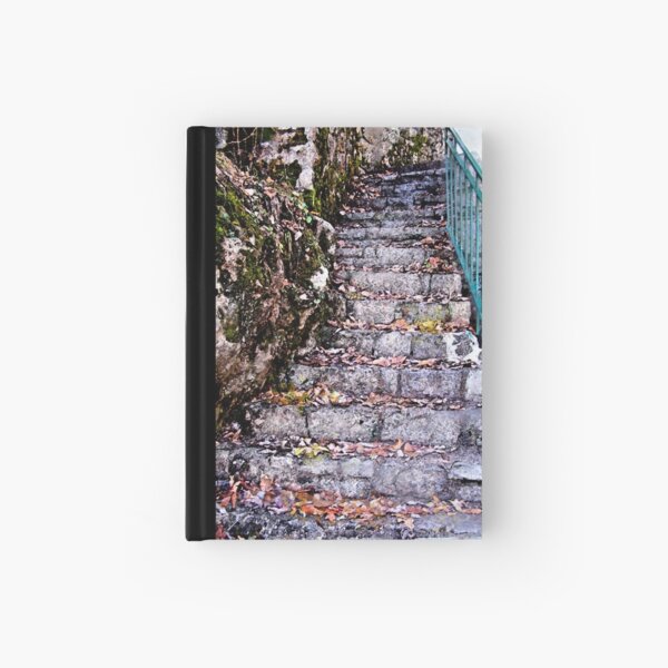 Aperçu de l'œuvre stone stairway créée et vendue par A Walk on the Wild Side.