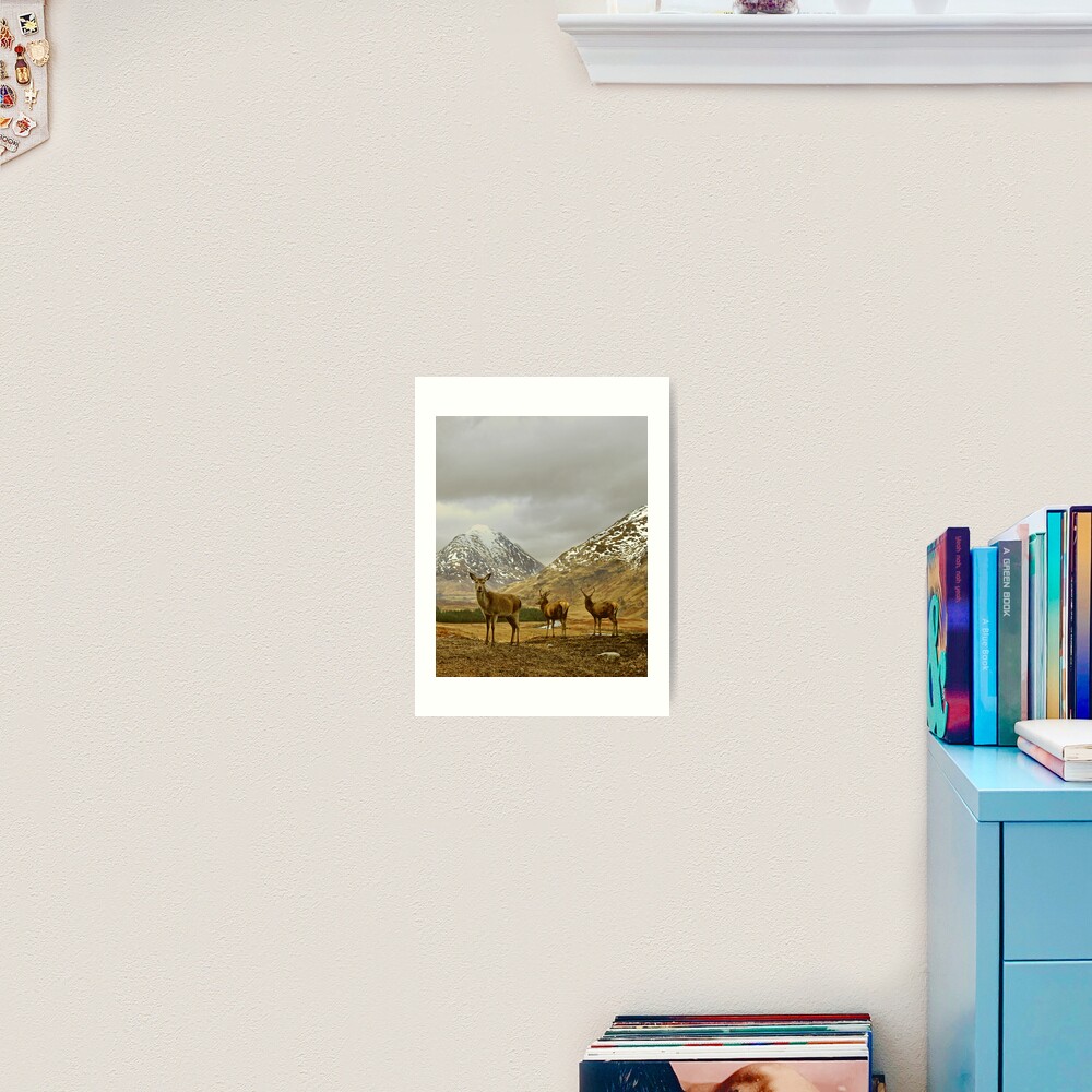 Item preview, Art Print designed and sold by tontoshorse.
