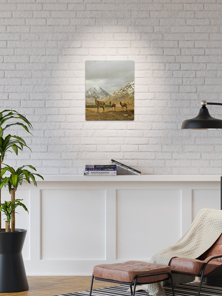 Thumbnail 1 of 4, Metal Print, Deer designed and sold by james thow.
