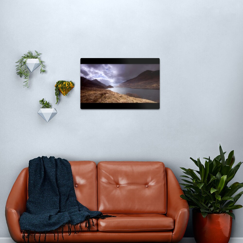 Head of Light Metal Print