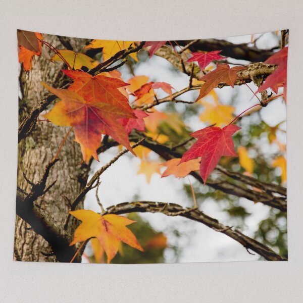 Item preview, warmth of color in the cold designed and sold by TessAndre.