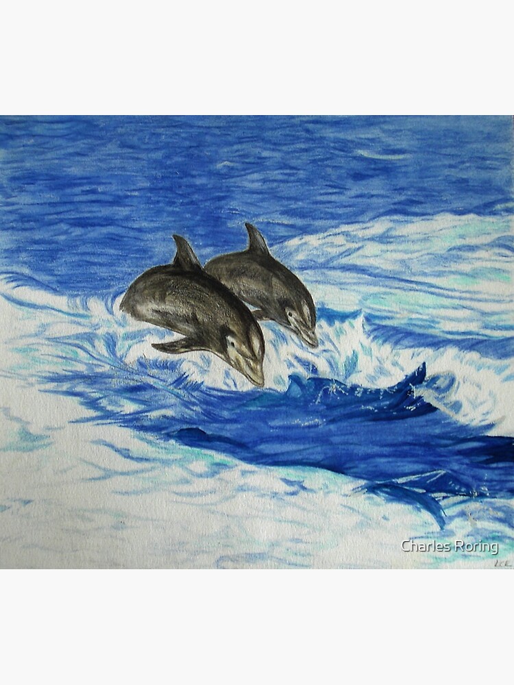 Dolphins in the Ocean by leororing