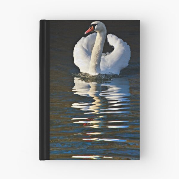 Item preview, Mute swan - Cygnus olor designed and sold by David Lewins.