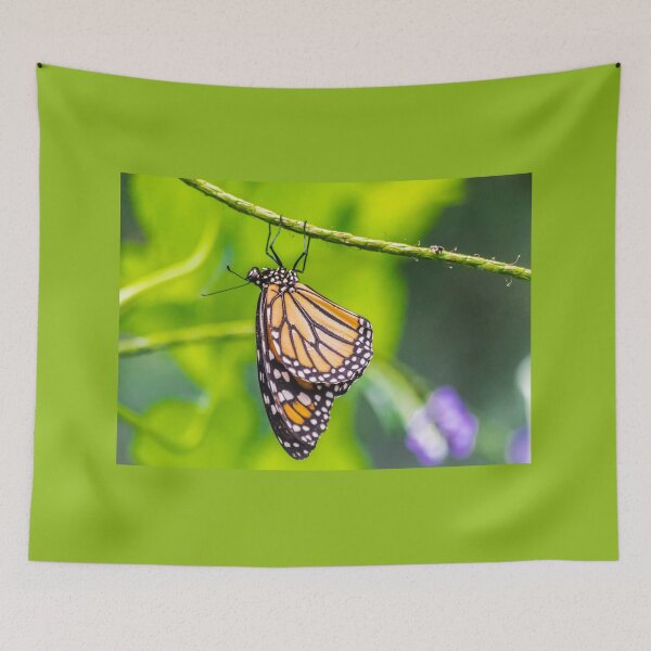 Item preview, Monarch butterfly designed and sold by Martin Leber.