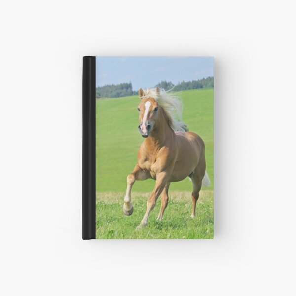 Haflinger horse stallion Notizbuch