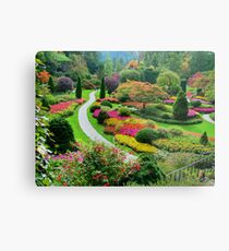 Butchart Gardens BC, Canada in the Fall Metal Print