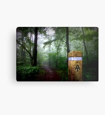 Appalachian Trail Magic Metal Print