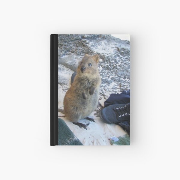 Item preview, Quokka designed and sold by Lyn Fabian.