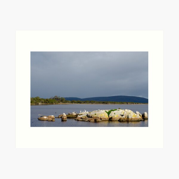 Item preview, Pelican Island designed and sold by Robert Abraham.