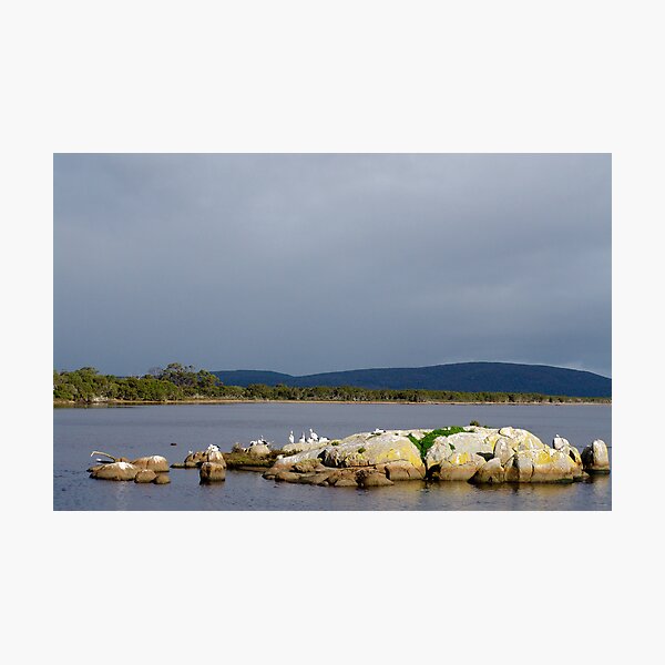 Item preview, Pelican Island designed and sold by Robert Abraham.