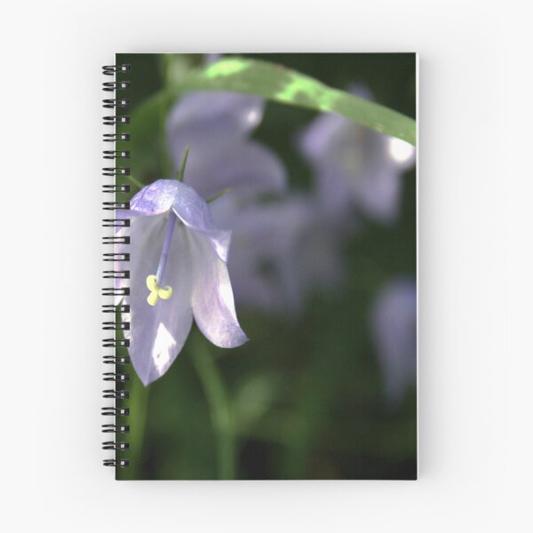 Item preview, Meadow flower designed and sold by Merice  Ewart Marshall.