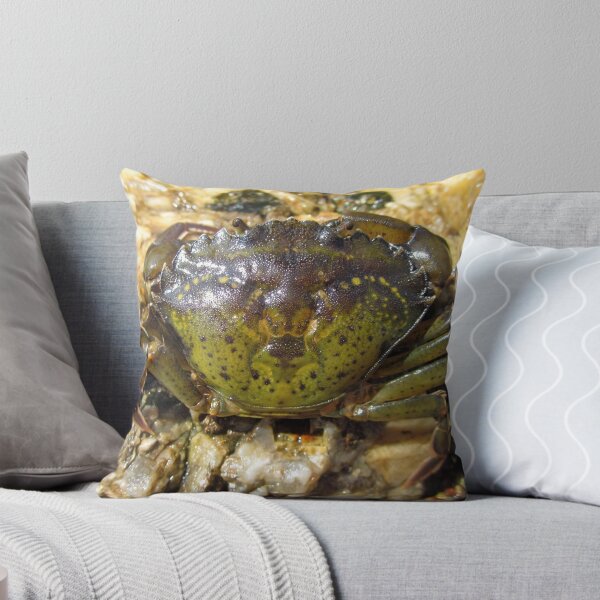 Item preview, Green Crab designed and sold by LizardSpirit.