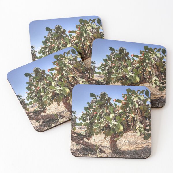 Item preview, Opuntia ficus-indica designed and sold by tomg.
