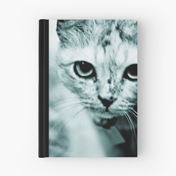 Item preview, Meow....where are you mommy? : On Featured Work designed and sold by Kornrawiee.