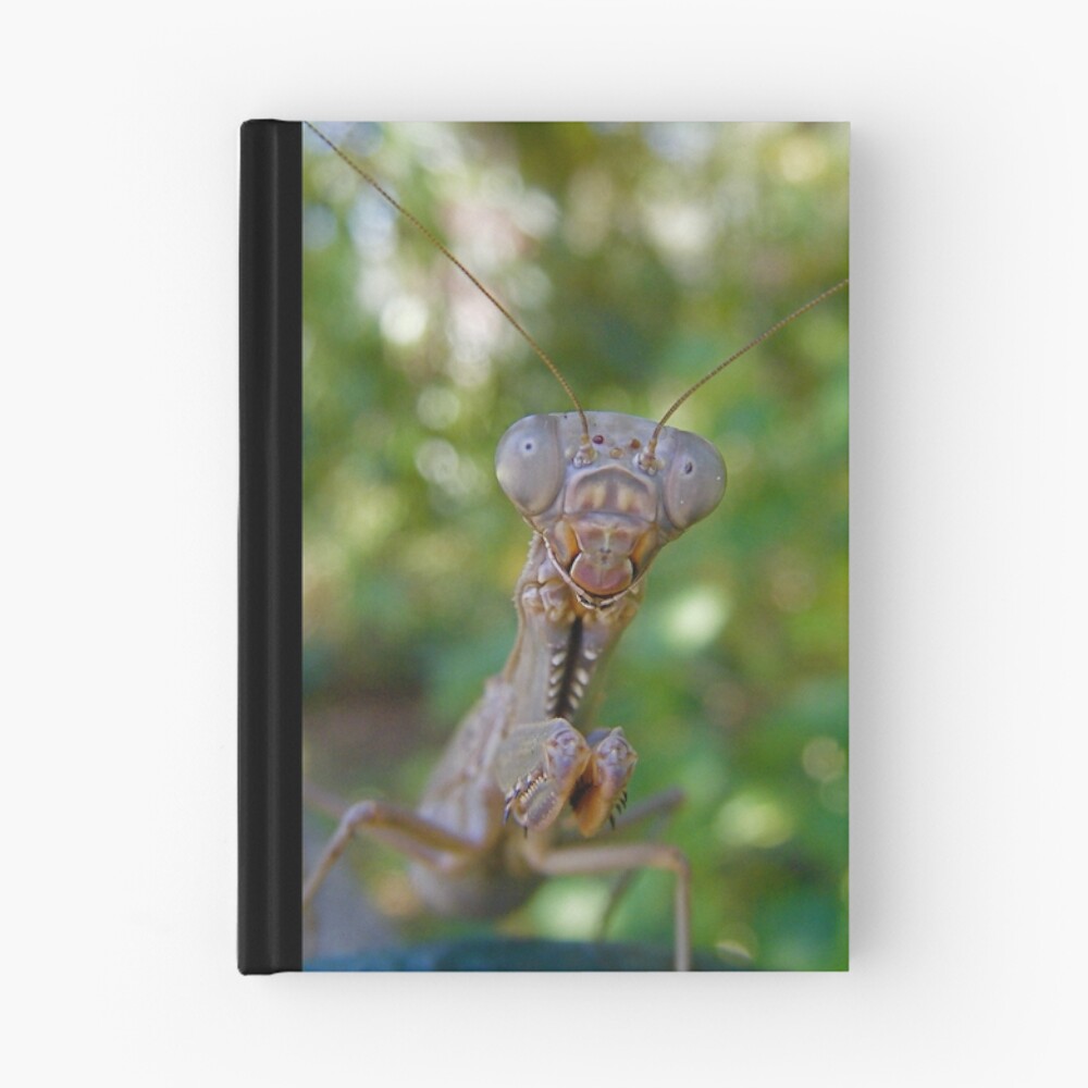 Item preview, Hardcover Journal designed and sold by gabriellehope.