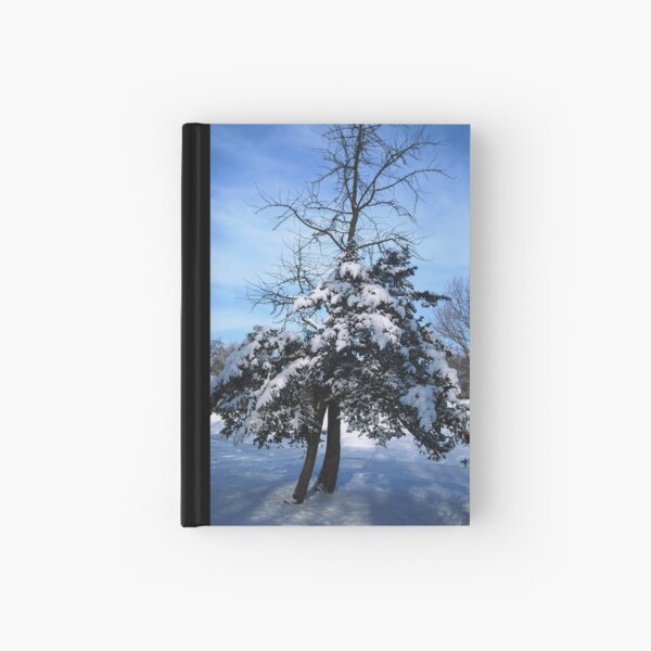 Icy blue Hardcover Journal