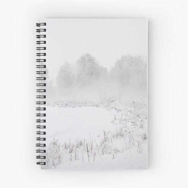 Item preview, Snow Storm in January designed and sold by denis-romanov.