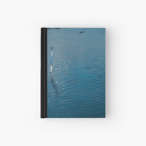 Sea Ice Hardcover Journal