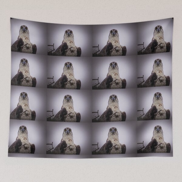 Item preview, Stay away from my nest designed and sold by Zina Stromberg.
