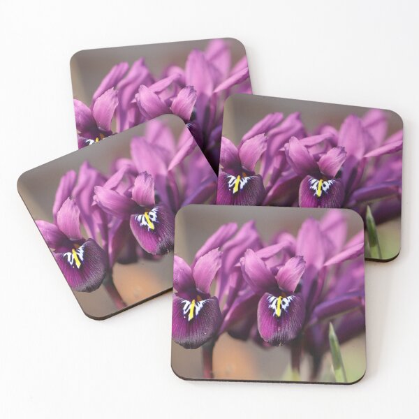 Item preview, Purple Iris reticulata designed and sold by cuprum.