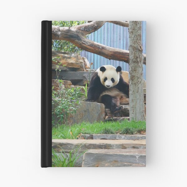 Item preview, Panda Too designed and sold by Gail Mew.