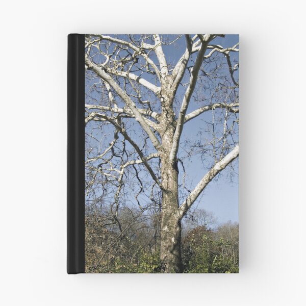 Item preview, Leafless Tree designed and sold by Joy  Rector.