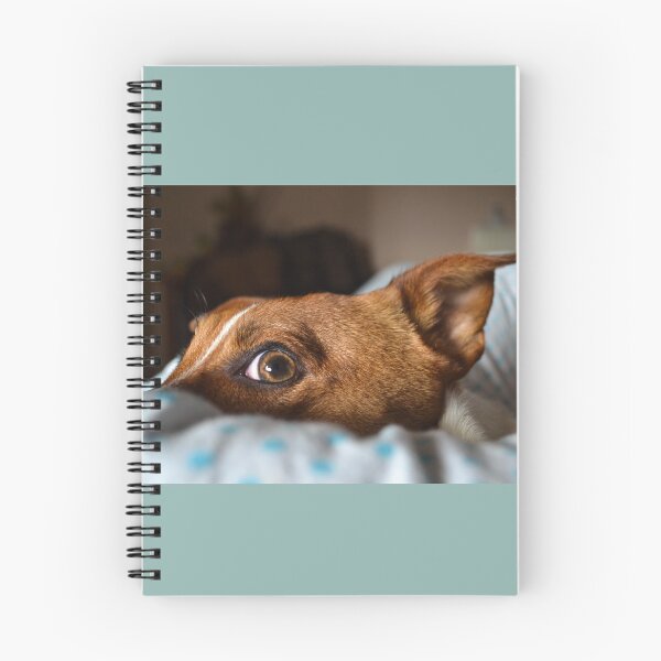 Item preview, Jack Russell Terrier designed and sold by C.T. Photography.