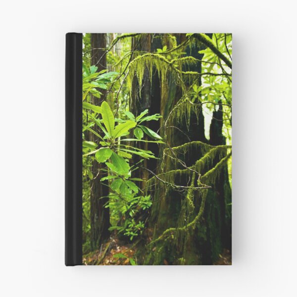 Item preview, Redwood forest designed and sold by bonsta.