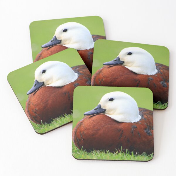 Item preview, Paradise Shelduck (Female) designed and sold by Phil Le Cren.