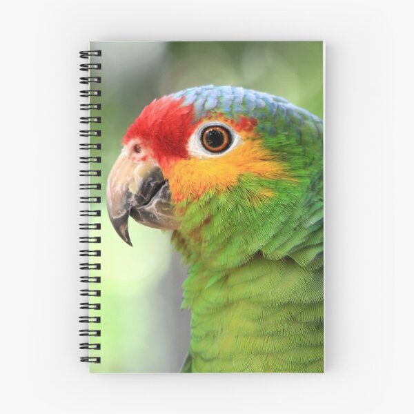 Item preview, Red-lored Amazon Parrot  designed and sold by Teresa Zieba.