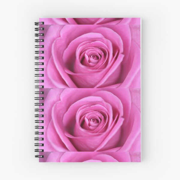 Artikelvorschau, Pinke Rose entworfen und verkauft von Sam Mitchell.