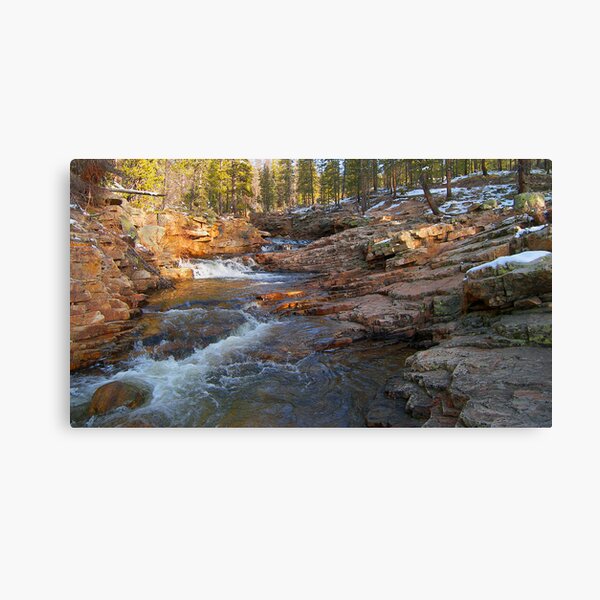 November Light Canvas Print