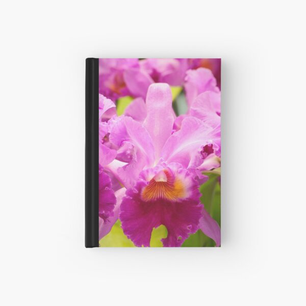 Pink Cattleya Orchids Hardcover Journal