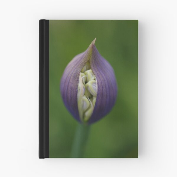 Item preview, emergence designed and sold by Clare Colins.