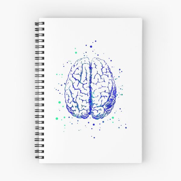 Item preview, Brain anatomy, medical art, watercolor Brain designed and sold by Rosaliartbook.