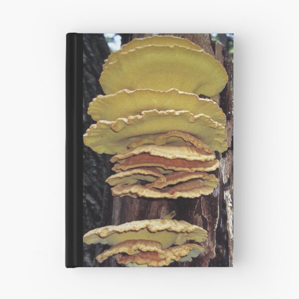 Item preview, Woodland Treasure designed and sold by Rusty (Helen)  Valenza.
