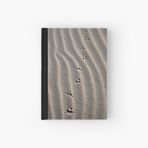 Item preview, the journey designed and sold by Evelyn Bach.