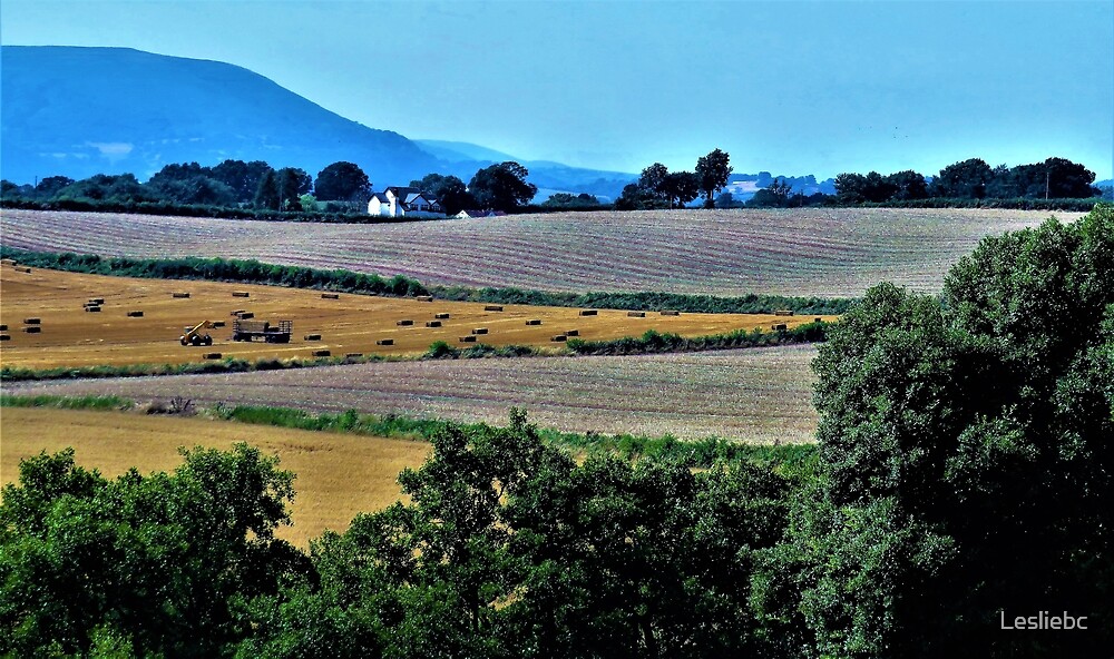 "Haying Season" by Lesliebc | Redbubble