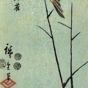 Artwork thumbnail, Kingfisher Over Yellow Waterplant by Utagawa Hiroshige (Reproduction) by Classic Visions Gallery