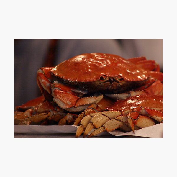 Crabby...all day long Photographic Print