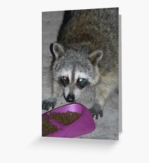 Tarjeta de felicitación Dangerous Looking Raccoon