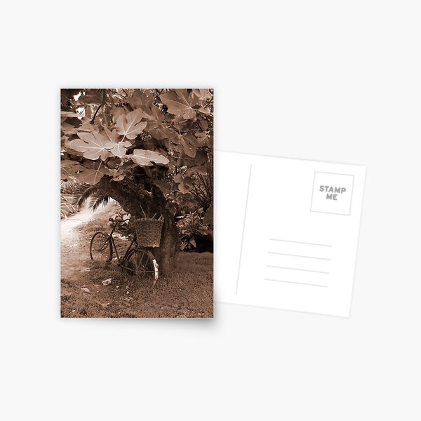 Bicycle Postcard