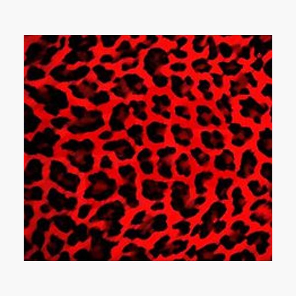 Blue/Gold/Red Cheetah Print Wallpaper by HomeLivingCo