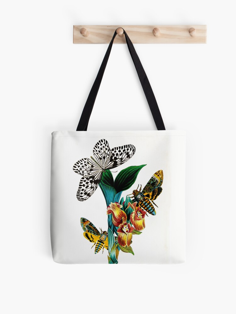 Butterflies, moths and orchids, vintage insect and botanical