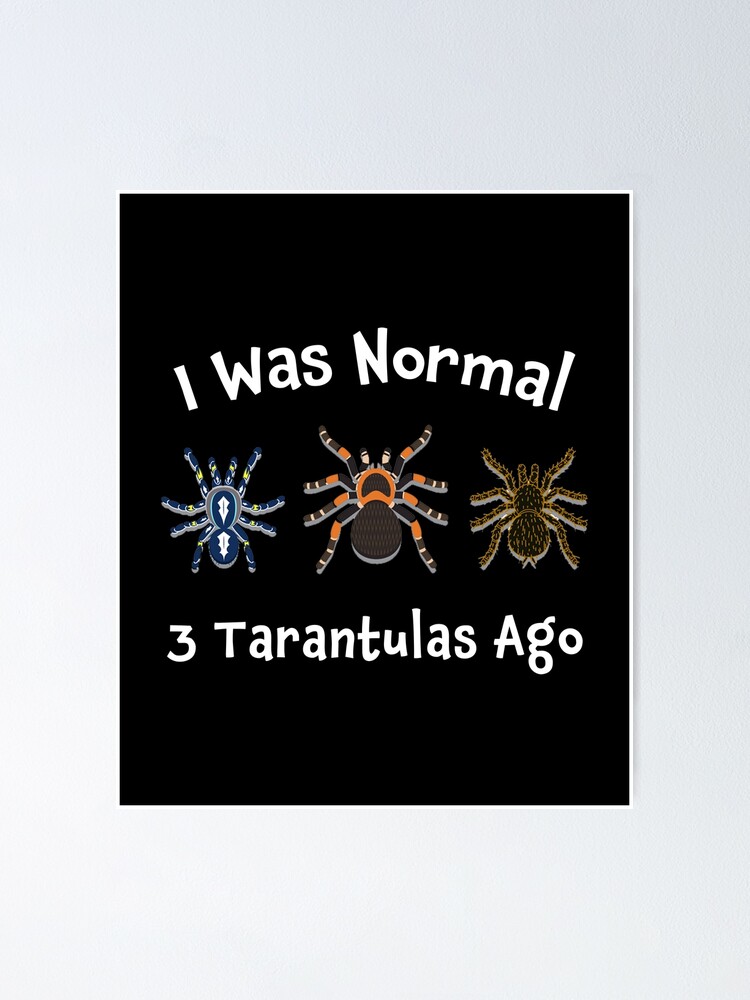 Tarantula Spider T Shirt I Was Normal 3 Tarantulas Ago Tarantula Spider T Shirt I Was Normal 3 Tarantulas Ago