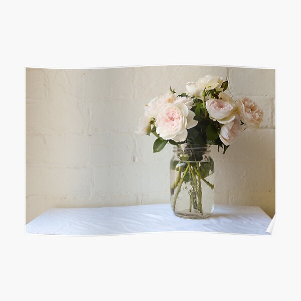 Pale pink roses Poster