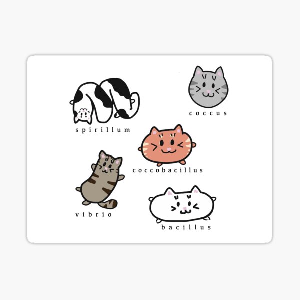 Item preview, Bakterien Kittehs designed and sold by jadedanime.