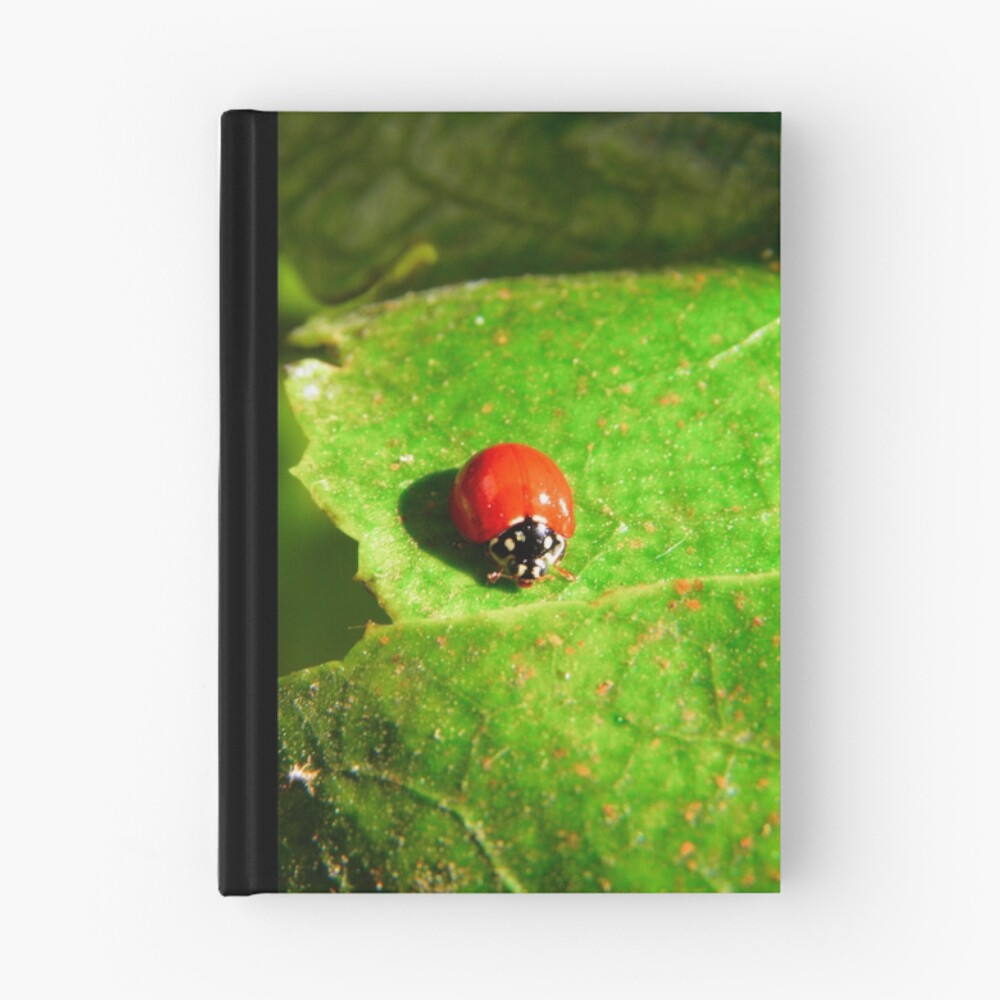 Item preview, Hardcover Journal designed and sold by Pandrot.